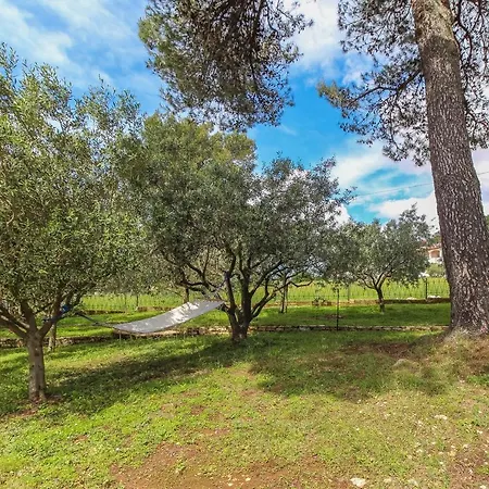 Holiday home Hizica Pupo Medulin